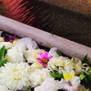 花まいり　9月15日