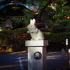 うさぎ神社