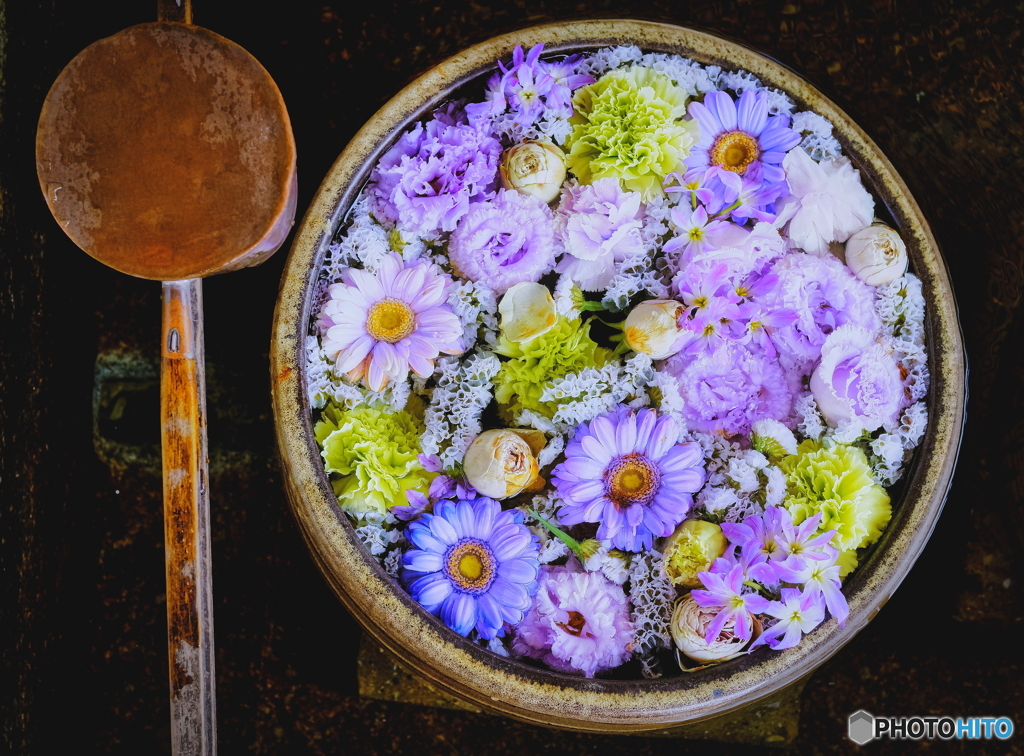 藤色　花まいり　