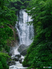 雨の日の滝