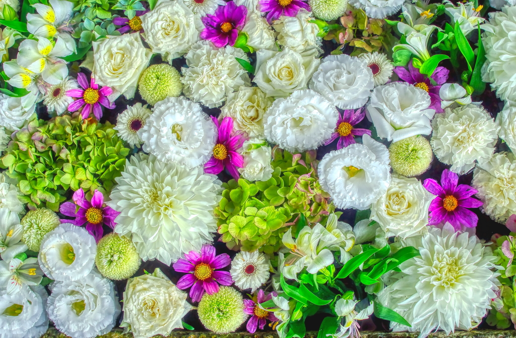 花まいり②　9月15日