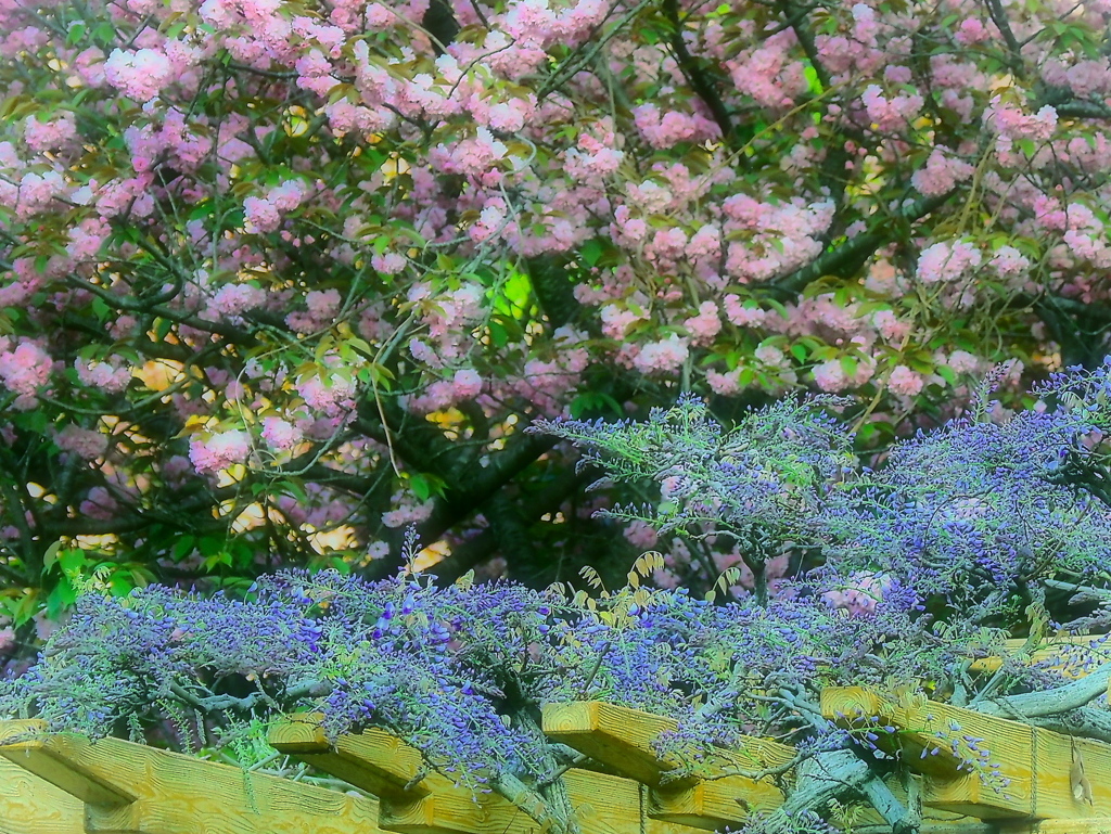 移る