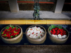 今年最後の花まいり