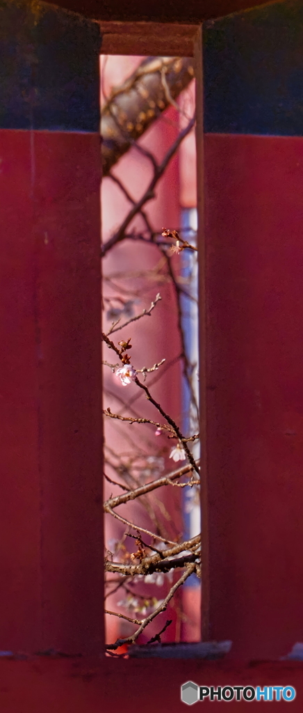朱の隙間から