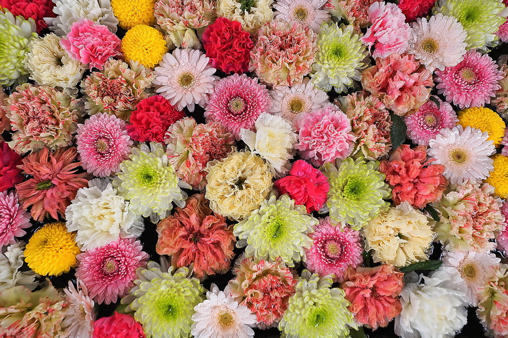 3月花手水舎