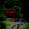 鳥居の横に人影が?