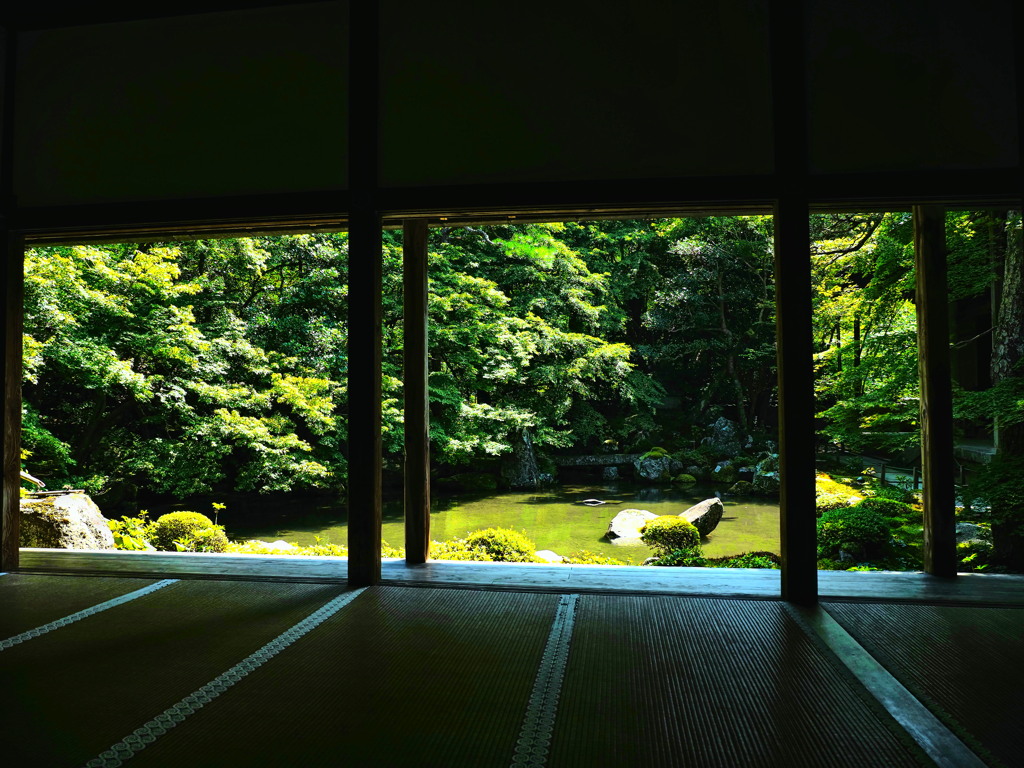 洛北 夏の蓮華寺 庭園２