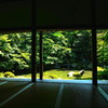 洛北 夏の蓮華寺 庭園２