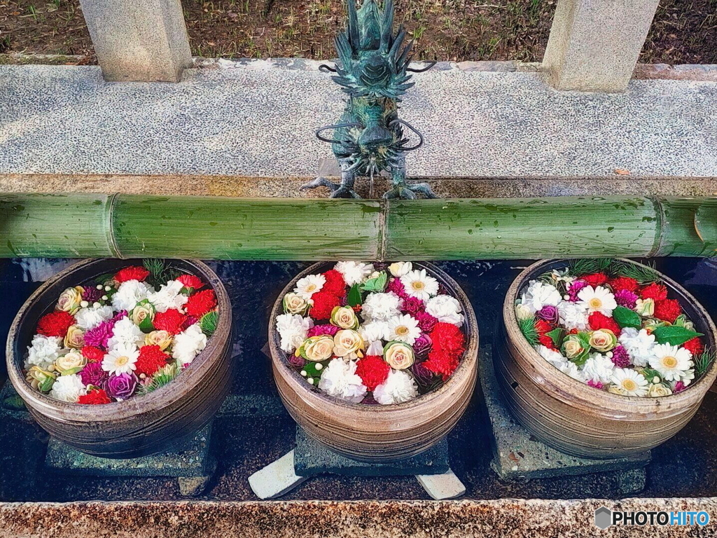 新春　花まいり　