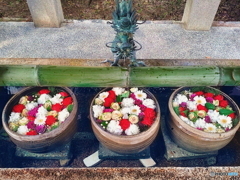 新春　花まいり　