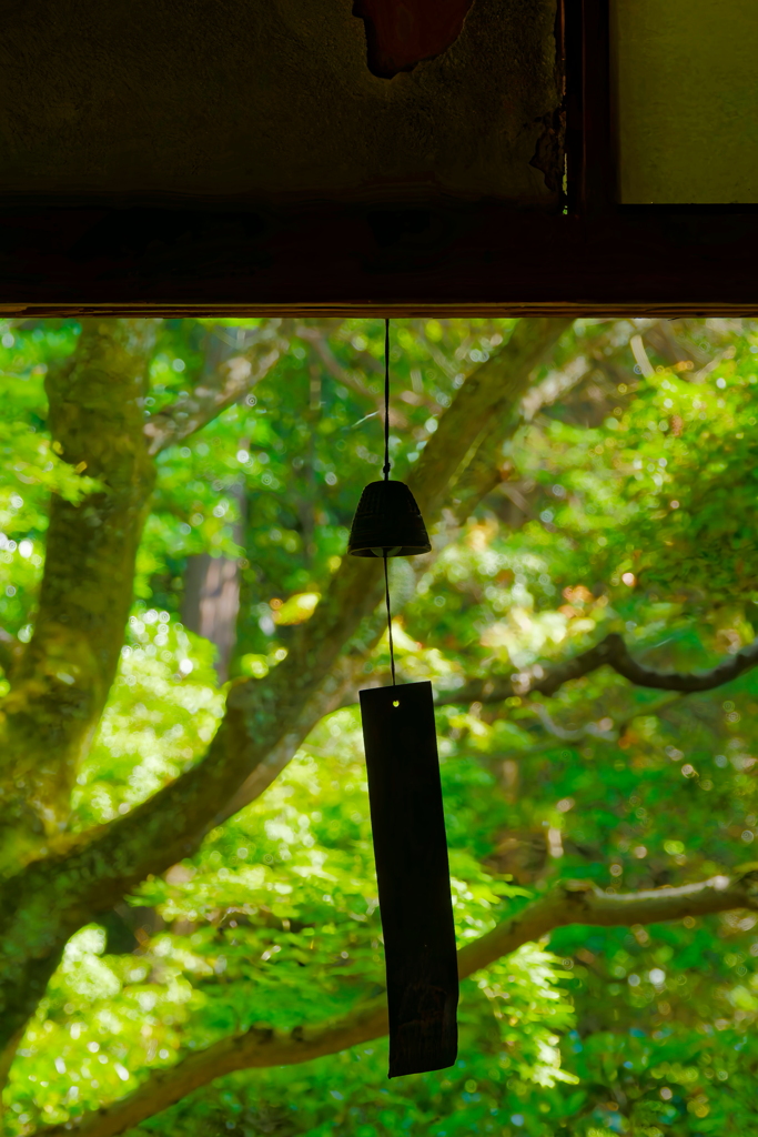 夏の終わり