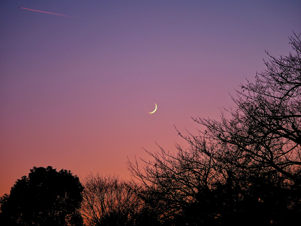 夕方の三日月