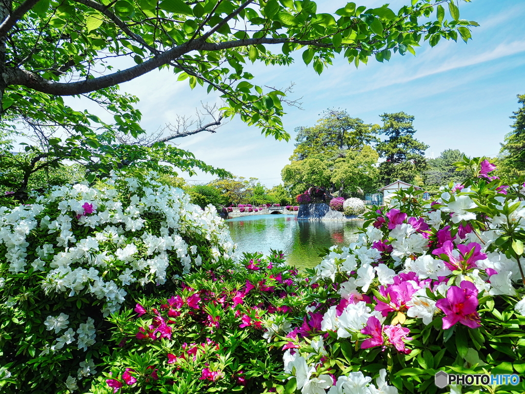 九華公園