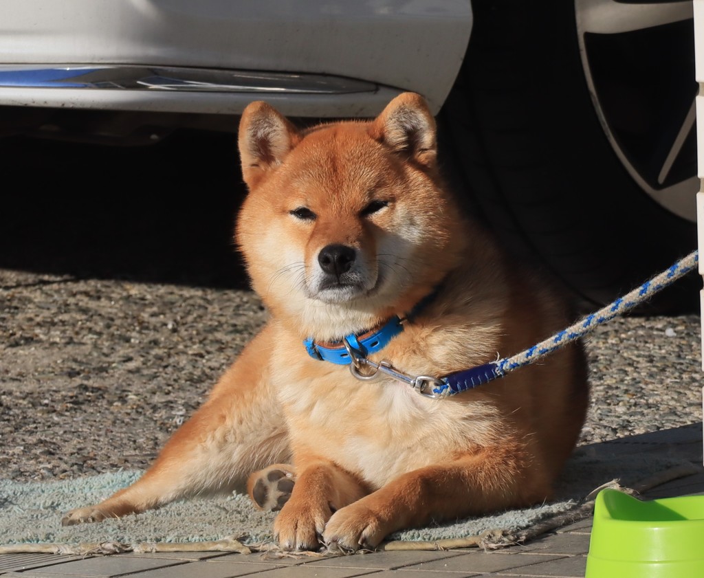 ひょとして 不機嫌？