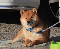 ひょとして 不機嫌？