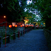 津島神社 みたま祭