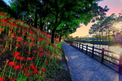 夕方のプロムナード