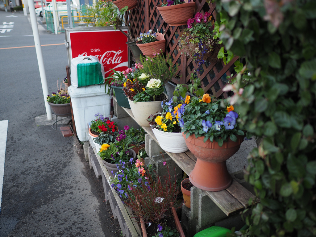 路地 喫茶店