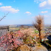 金生山明星輪寺から見た濃尾平野