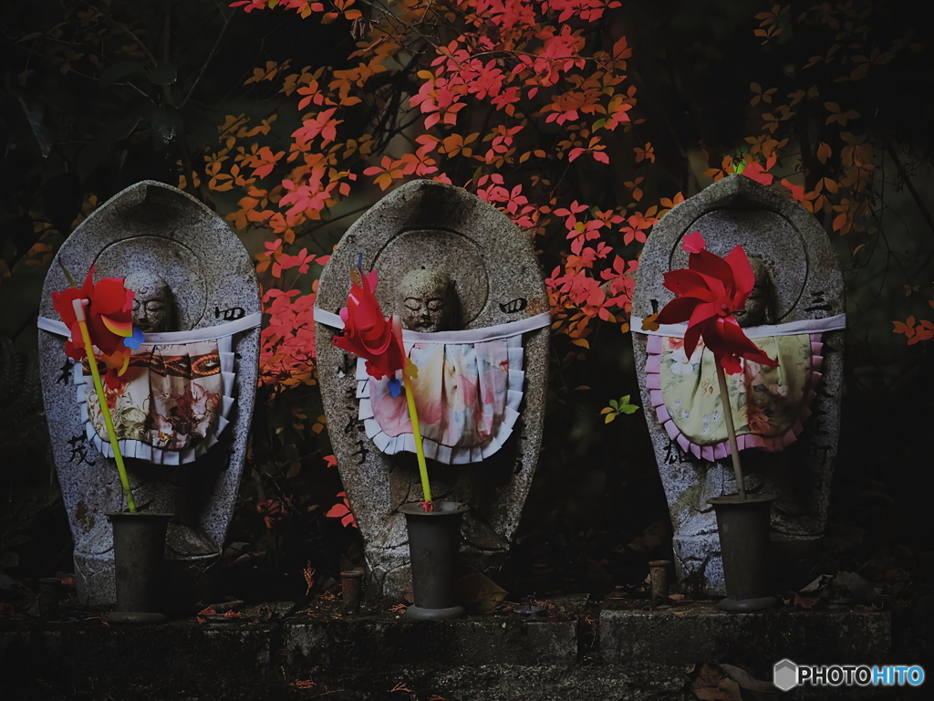 朽ちぬ願い、枯るる山