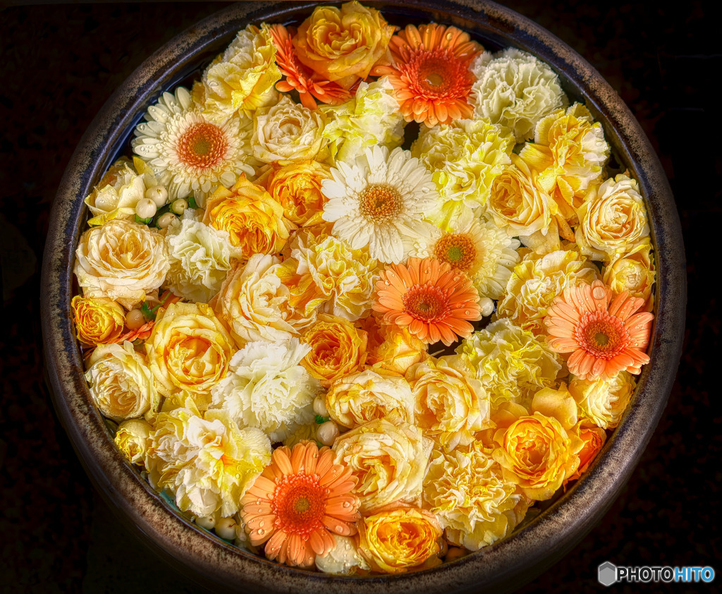 花まいり　11月15日