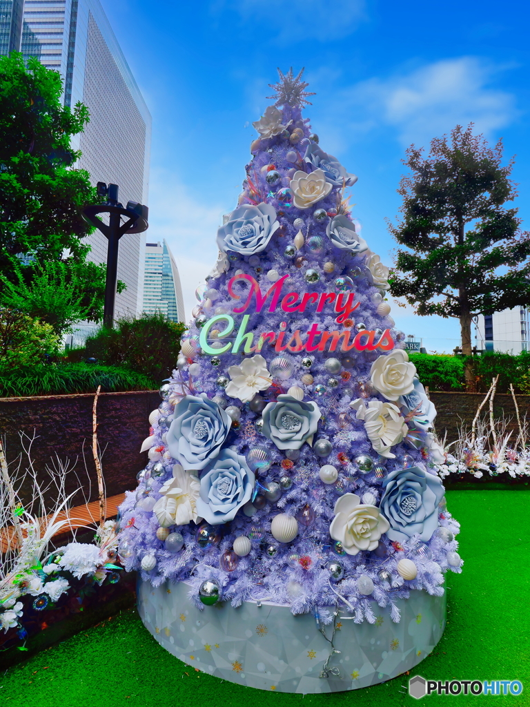 Merry Christmas ②