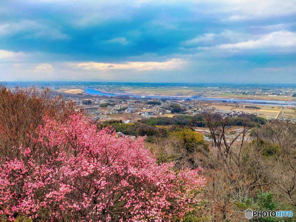 寒空に春の予感の展望