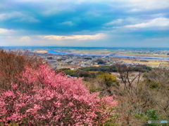 寒空に春の予感の展望