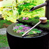 花手水舎 