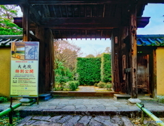 大光院　山門