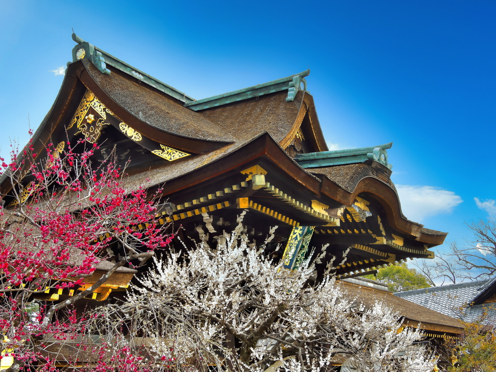 三光門と紅白梅