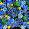 ブルー   6月の花まいり