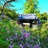 円光禅寺