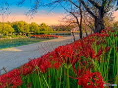 夕方の公園