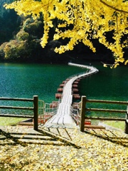 秋の浮き橋