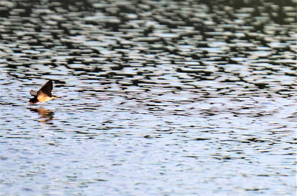 超高速水を