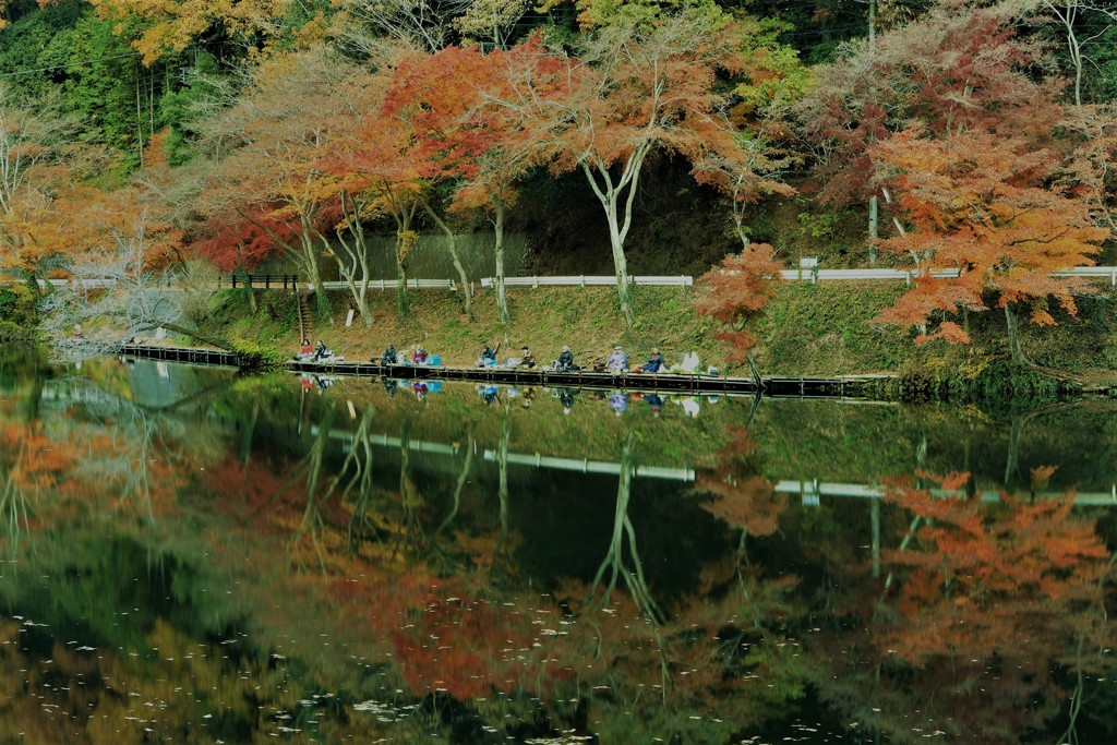 良い釣り場