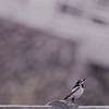 上を向いて