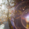 Helios44
