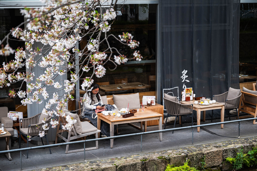 京都 木屋町通り