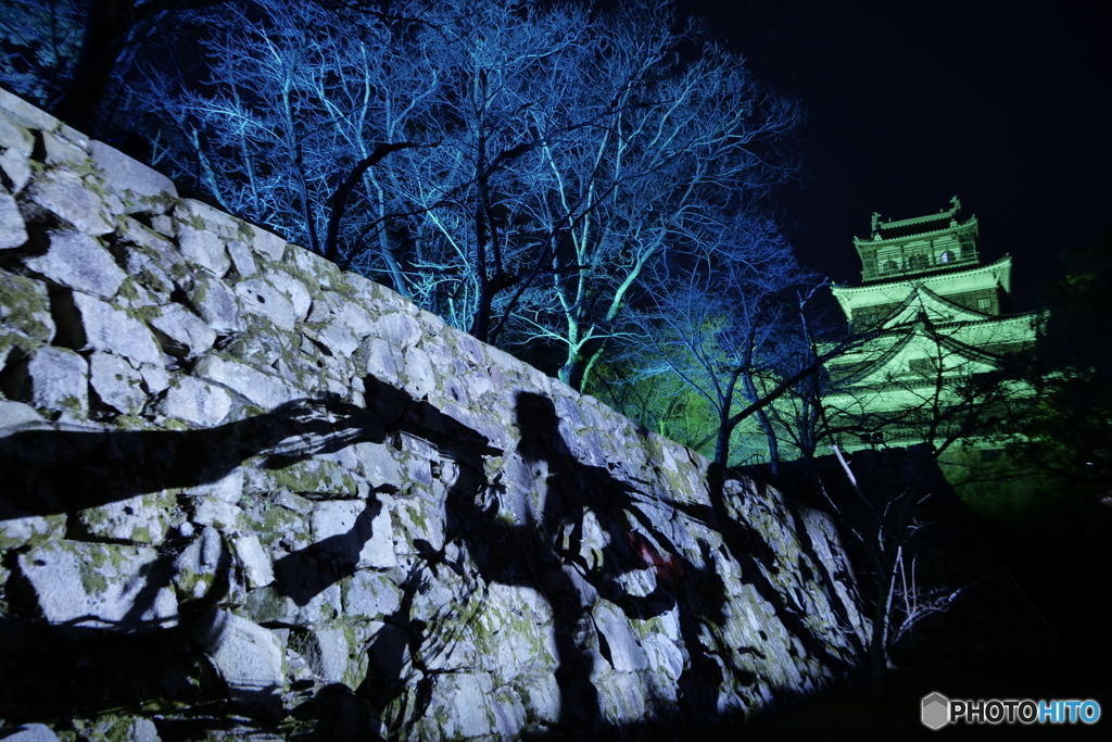 チームラボ広島城 光の祭