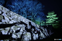 チームラボ広島城 光の祭