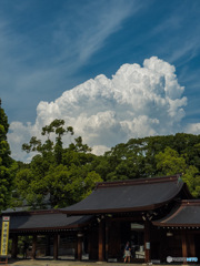 明治神宮からの夏雲