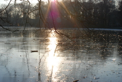 Frozen pond