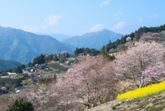 日本の原風景