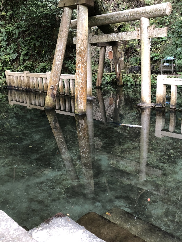 鹿島神宮 御手洗池