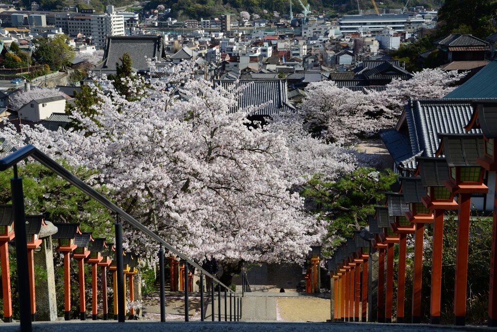 西國寺２