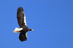 青空