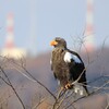 どうぞ撮って下さい！