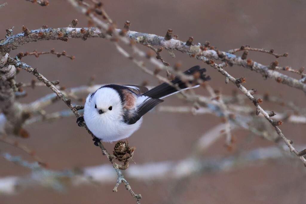 可愛く撮ってね